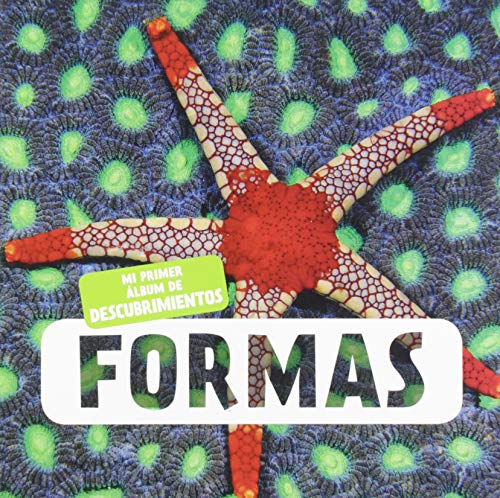 Formas: 1 (Mi primer álbum de descubrimimentos) Formas: 1 (Mi primer álbum de descubrimimentos)