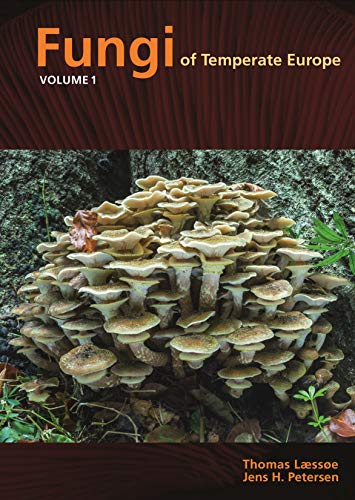 Fungi of Temperate Europe: Volume 1+2