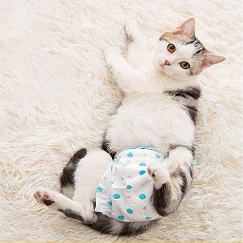 Gato Pañales Pantalones Sanitarios Pantalones Fisiológicos Para Perros Gatitos Masculinos Y Femeninos Usan Pañales Pequeños Para Mascotas