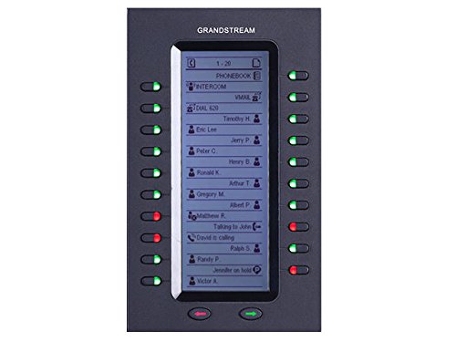 Grandstream Networks GXP2200EXT IP módulo Adicional (Add-on) 20 Botones Negro - Teléfono IP (206 x 117 x 32 mm, 380 g)