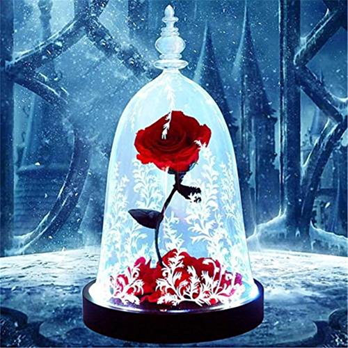 JaneDream Rosa Bella y Bestia Cristal Fresca Flor Cubierto por Tulipa de Vidrio como Regalo de Navidad Boda Matrimonio Aniversario Cumpleaños Rojo