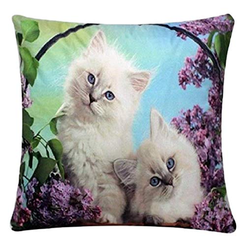 Lindos ojos azules gatitos persas animal print chenilla algodón 17 x 17 pulgadas funda de cojín funda de almohada para sofá cama sofá