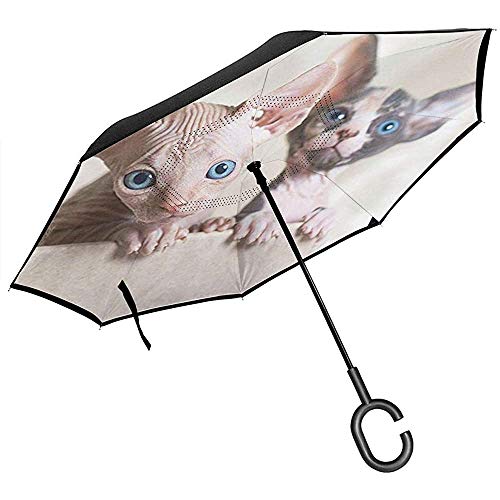 Paraguas invertido de Doble Capa con Mango en Forma de C, sombrillas Unisex con protección UV A Prueba de Viento: Lindo par de Gatitos sin Pelo Sphynx Cat