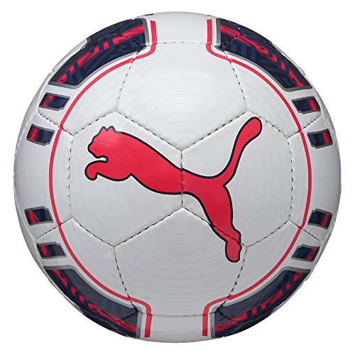 PUMA Fußball EVO Power 5 Futsal - Balón de fútbol Sala, Color Blanco, Talla 4