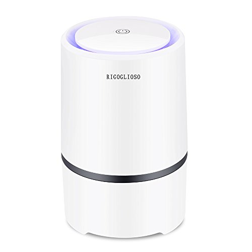 RIGOGLIOSO - Ionizador de Escritorio, purificador portátil de Aire HEPA, Elimina el Humo del Cigarrillo, Polvo, Polen, Malos olores, con Cable USB de 5 V, 125195 mm RIGOGLIOSO - Ionizador de Escritorio, purificador portátil de Aire HEPA, Elimina el Humo del Cigarrillo, Polvo, Polen, Malos olores, con Cable USB de 5 V, 125195 mm