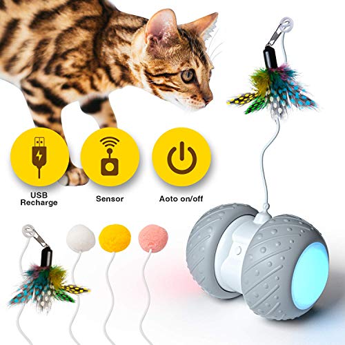WATSABRO - Juguete Interactivo para Gatos, Juguete eléctrico para Gatos, con Temporizador automático y Juego de muelles, Multicolor, Juguete de Inteligencia para Gatos
