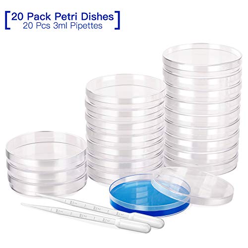 20Pcs Placa de Petri de Plástico,Placa de Petri de Plástico(90 mm x 15 mm),para Semillas Hongos Análisis de Laboratorio Viene con 20 pipetas de transferencia de plástico(3ml) 20Pcs Placa de Petri de Plástico,Placa de Petri de Plástico(90 mm x 15 mm),para Semillas Hongos Análisis de Laboratorio Viene con 20 pipetas de transferencia de plástico(3ml)