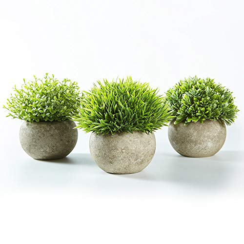 Jobary Set de 3 Plantas Artificiales con Césped Verde en Macetas Grises, Plantas Pequeñas Sintéticas de Plástico Decorativas, Ideales para la Decoración de la Casa, Cocinas, Oficinas y Exteriores Jobary Set de 3 Plantas Artificiales con Césped Verde en Macetas Grises, Plantas Pequeñas Sintéticas de Plástico Decorativas, Ideales para la Decoración de la Casa, Cocinas, Oficinas y Exteriores