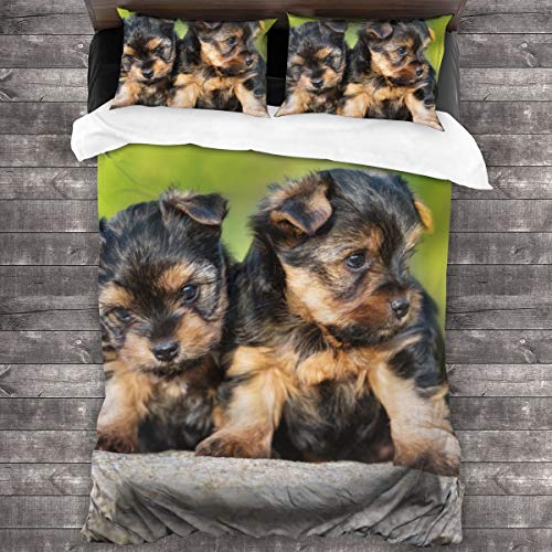 Juego de Ropa de Cama-Piel Cachorro Verde Dos Cachorros Little Yorkshire Terrier Camada Yorkie Naturaleza Linda Adorable Raza Bebé,Juego de Funda Nórdica y 2 Funda de Almohada(King 220x230cm)