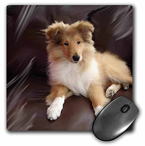 3dRose LLC 8 x 8 x 0.25 Inches Mouse Pad, Rough Collie cachorro (MP 4546 _ 1)