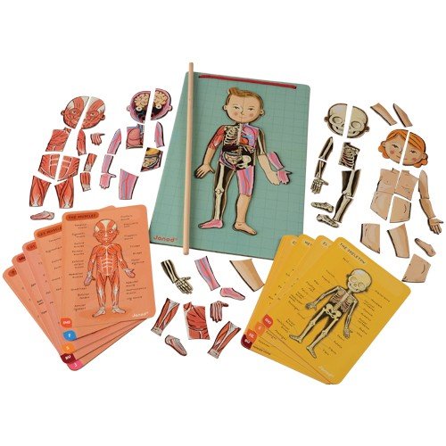 Janod- Imán Juego Educativo del Cuerpo Humano-Anatomía, Organos, Esqueleto, Músculos 76 Piezas Magnéticas-A Partir de 7 años-12 Lenguas, Multicolor (J05491)