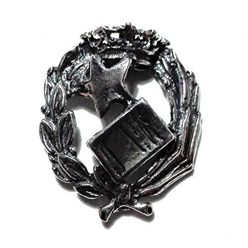 Alylosilver Insignia Profesional de Notario Pin para Hombre Mujer en Plata 925 con Caja para Regalo. Alylosilver Insignia Profesional de Notario Pin para Hombre Mujer en Plata 925 con Caja para Regalo.