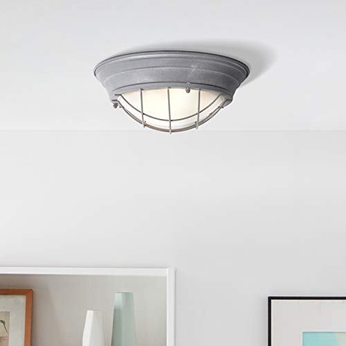 Lightbox - Lámpara de techo vintage con cristal mate, 34 cm de diámetro, casquillo E27 para máx. 60 W, lámpara de techo industrial, hormigón gris.