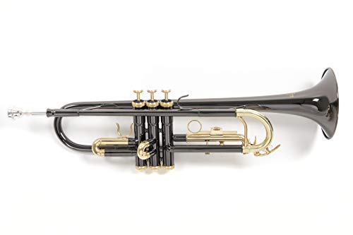 Roy Benson RB701052 - Trompeta en Sib TR-101K, estuche ligero rectangular, color antracita