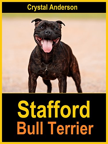Stafford Bull Terrier: How to Own, Train and Care for Your Stafford Bull Terrier (English Edition)