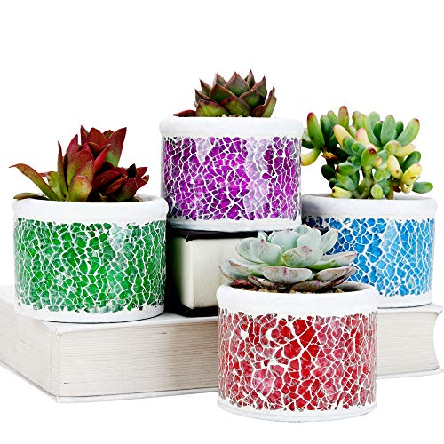 SE SUN-E Mosaico Cemento de Vidrio Plantador de Cactus suculento, Plantas pequeñas/Macetas Jardineras Idea Decoraciones de jardín, hogar, Exterior/Interior