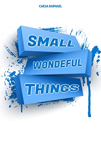 Small Wonderful Things: You don't want to miss the blockbuster book (English Edition)
