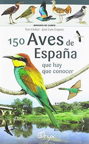 150 aves de España que hay de conocer: que hay que conocer (Miniguía de campo)