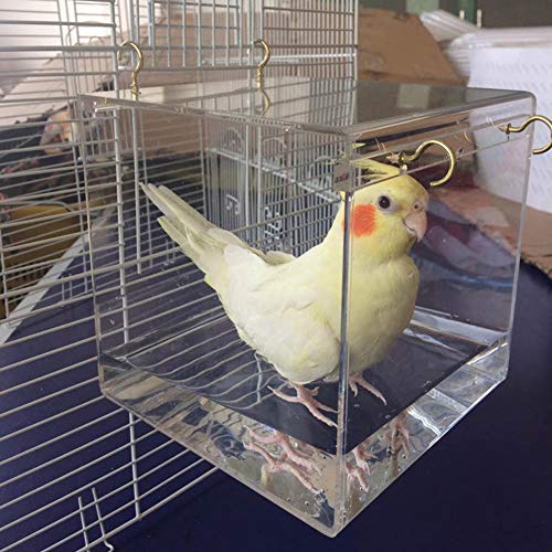 HOMYY Jaula para pájaros con Gancho Colgante, para la mayoría de Las jaulas de pájaros, para Mascotas, Loros, periquitos, periquitos, Cacahuetes, Jaula para Ducha de Agua, Transparente HOMYY Jaula para pájaros con Gancho Colgante, para la mayoría de Las jaulas de pájaros, para Mascotas, Loros, periquitos, periquitos, Cacahuetes, Jaula para Ducha de Agua, Transparente
