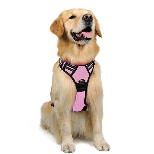 rabbitgoo Arnés Perro Rosado Grande Chalecos Ajustables Arnés Antitirones Perro Correas reflectores Mejor Seguridad Hebillas Resistentes Color Rosa Tamaño L Grande rabbitgoo Arnés Perro Rosado Grande Chalecos Ajustables Arnés Antitirones Perro Correas reflectores Mejor Seguridad Hebillas Resistentes Color Rosa Tamaño L Grande