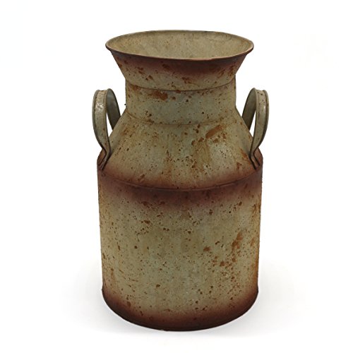 CVHOMEDECO. Lata de Leche de Metal galvanizado, Antiguo jarrón de primitivas rústicas para decoración de hogar y jardín. 15,5 x 15,5 x 25,4 cm