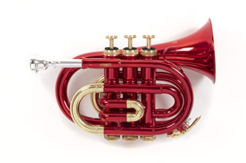 Roy Benson RB701004 - Trompeta Pocket, estuche ligero rectangular, color rojo