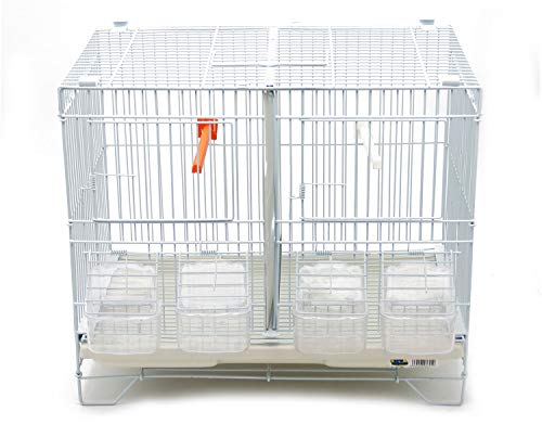 BPS Jaula de Incubación Jaula de Cría para Pájaros con Comedero Bebedero Saltador Cubeta Tamaño M/L (M: 43 x 29 x 40 cm) BPS-1304 BPS Jaula de Incubación Jaula de Cría para Pájaros con Comedero Bebedero Saltador Cubeta Tamaño M/L (M: 43 x 29 x 40 cm) BPS-1304