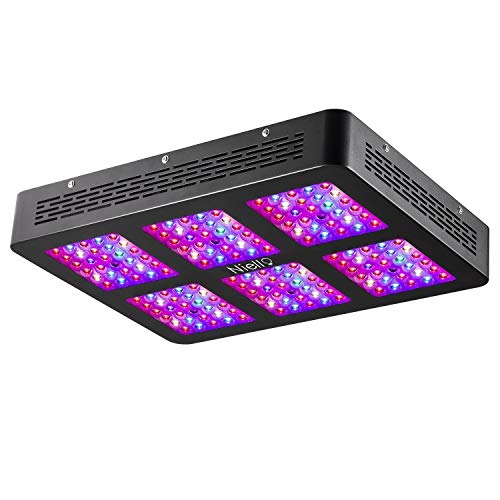 Niello Lente Óptica Dual Serie 900W. Luces LED para el crecimiento de las plantas. Espectro completo para plantas de interior para conseguir crecimiento y floración (dos interruptores,12-bandas) Niello Lente Óptica Dual Serie 900W. Luces LED para el crecimiento de las plantas. Espectro completo para plantas de interior para conseguir crecimiento y floración (dos interruptores,12-bandas)