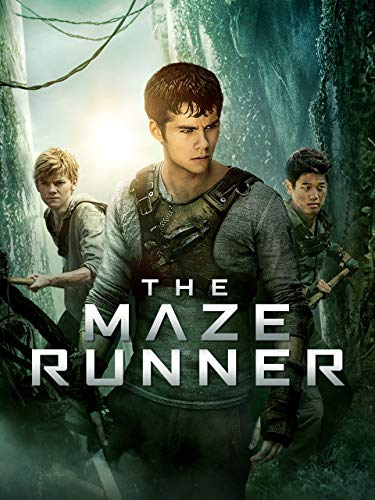 The Maze Runner