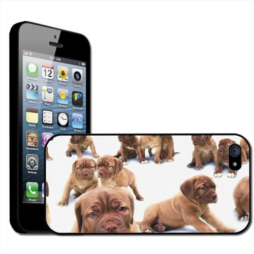 Fancy A Snuggle - Carcasa rígida para iPhone 5, diseño de cachorros de bullmastiff
