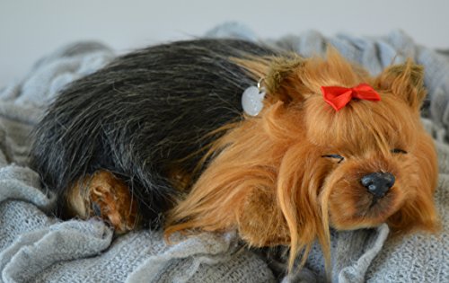 Animal doméstico transpirable Yorkie Puppy Companion para personas con pérdida de memoria del envejecimiento y los cuidadores Animal doméstico transpirable Yorkie Puppy Companion para personas con pérdida de memoria del envejecimiento y los cuidadores