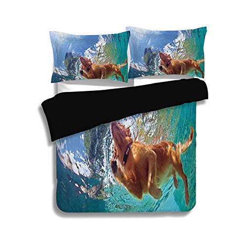 Juego de funda nórdica negra, divertida, debajo del agua Foto de Golden Labrador Retriever Cachorro nadando en la piscina Happy Decorativo, Canela Turquesa, Juego de ropa de cama decorativa de 3 pieza