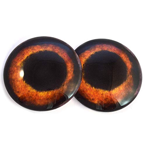 Par de ojos de cristal de ámbar para perro, realistas para cachorros, piezas de muñeca, escultura, accesorios, máscara, suministros de horneado, cabujones para hacer joyas, taxidermia y más Par de ojos de cristal de ámbar para perro, realistas para cachorros, piezas de muñeca, escultura, accesorios, máscara, suministros de horneado, cabujones para hacer joyas, taxidermia y más