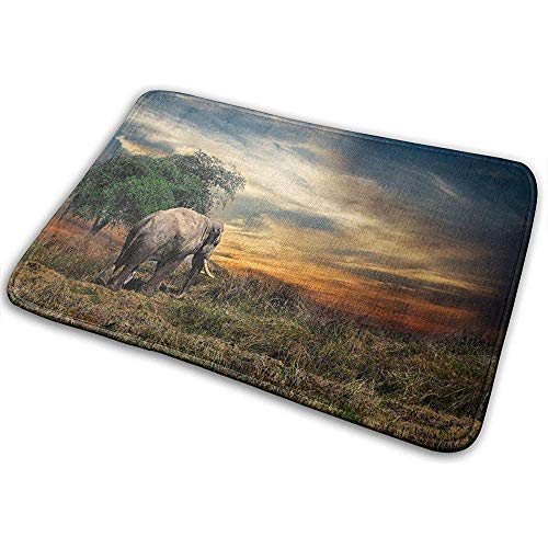 Odelia Palmer Alfombra de baño con Alfombra de baño Absorbente de Agua y Antideslizante Alfombra de Piso Elefante Africano Amanecer Odelia Palmer Alfombra de baño con Alfombra de baño Absorbente de Agua y Antideslizante Alfombra de Piso Elefante Africano Amanecer