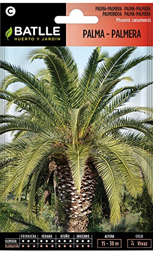 Semillas de Flores - Palma-Palmera - Batlle