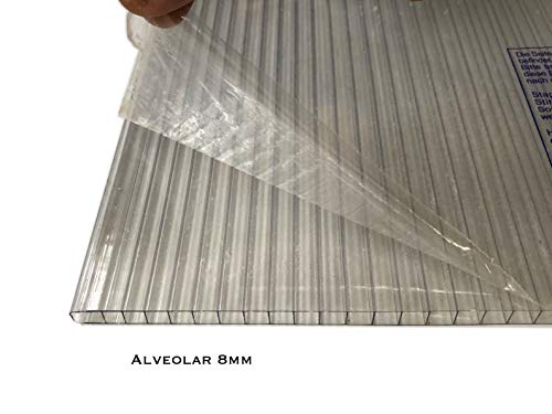 LEXAN® - Placas de Policarbonato Alveolar Celular - 8mm - Protección UV - Para Exteriores - Elige Medidas: (100 x 190 cm - Pack de 2, Transparente)
