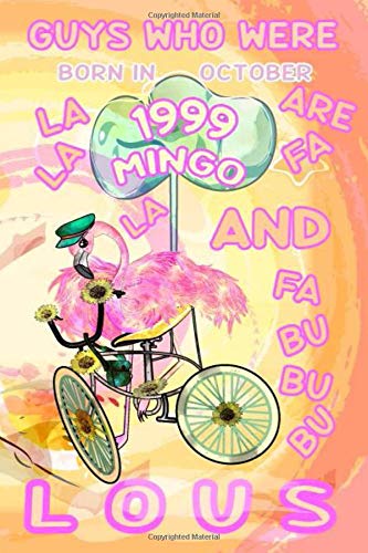 Guys Who Were Born In October 1999 Are Fa La La La Mingo And Fa Bu Bu Bu Lous Composition Notebook: Watercolored Flamingo On Bike Pastel Journal Diary