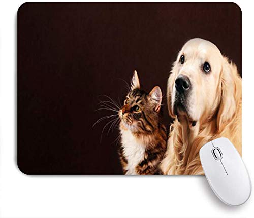 Alfombrilla de ratón decorativa para juegos,Pura Raza Pura Hermoso Perro Mascota Cachorro Siberiano Europeo Gatito Re,alfombrilla de ratón para computadora de oficina con base de goma antideslizante