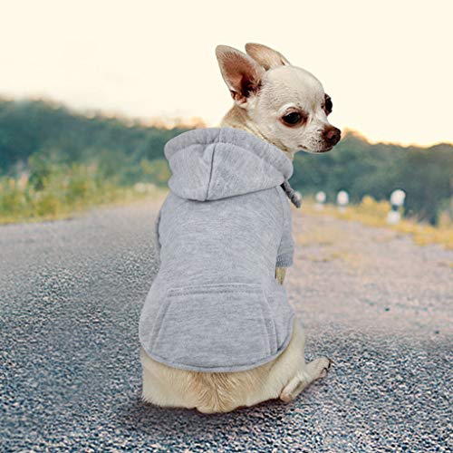Idepet - Abrigo de algodón con Capucha para Perros pequeños, Cachorros, Peluches, Chihuahua (L, Gris)