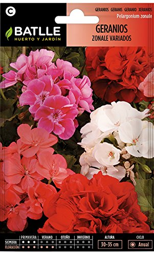 Semillas de Flores - Geranios Zonale variados - Batlle Semillas de Flores - Geranios Zonale variados - Batlle
