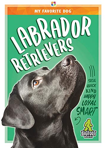 Labrador Retrievers (My Favorite Dog)