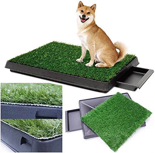 Sailnovo Inodoro para Perros Césped Interior Orinal Perro Almohadilla de Entrenamiento de Hierba para Mascotas Doméstico 63 x 50 x 7 cm Sailnovo Inodoro para Perros Césped Interior Orinal Perro Almohadilla de Entrenamiento de Hierba para Mascotas Doméstico 63 x 50 x 7 cm