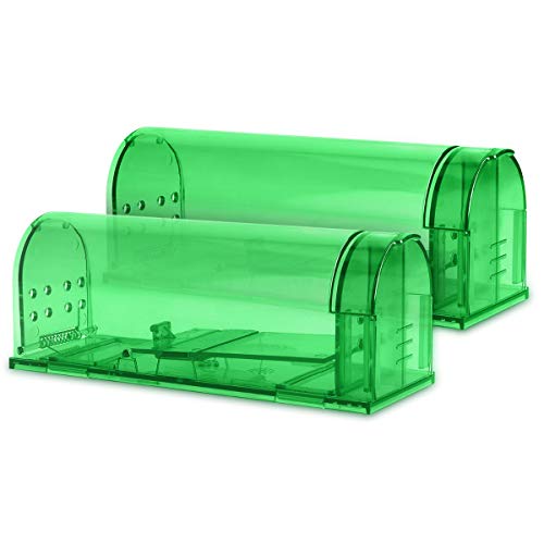 Navaris 2X Trampa para Ratas - Set de 2 trampas para Ratones y Otros Animales pequeños - Ratonera de plástico de Color Verde Transparente