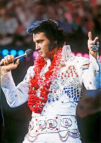 YANGCH Elvis Presley, kit de artesanía de bricolaje con pintura de diamante 3D, bordado artesanal de costura para adultos/niños, decoración de la pared del hogar(19.7x27.6inch)