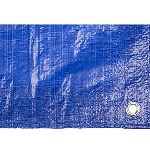 Toldo reforzado gramaje 90 grs, 6 x 10 m, color azul - Catral 560115