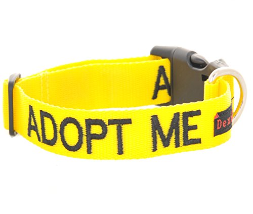 Collar para perro con texto "Adopt Me", color amarillo, en tallas S-M y L-XL, con codificación por colores para evitar accidentes por advertencia a otros de tu perro de antemano