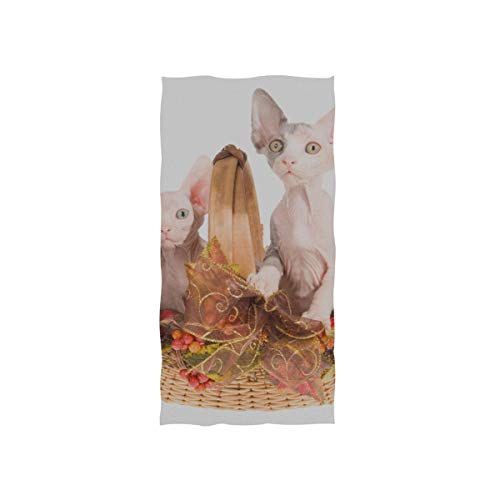 DUKAI Toallas de Mano 30x15in, 3 Gatitos Sphynx Sphinx sin Pelo Toalla de baño Fina para Nadar en otoño, Estampada Toalla de baño pequeña Muy Absorbente Suave para baño, Hotel, Gimnasio y SPA