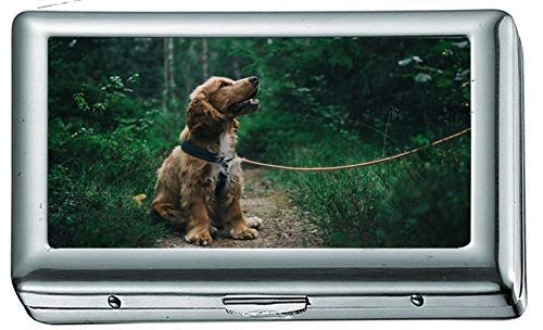Inglés Cocker Spaniel Cachorro Sentado en el Suelo Junto a la Hierba 12541 Cigarrillo Estuche/Caja Portatarjetas de Visita Estuche de Acero Inoxidable Protección de Billetera de Metal Plateado
