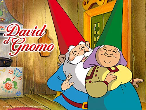 David, el gnomo David, el gnomo