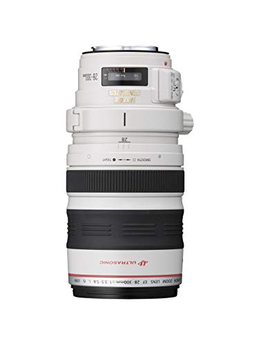 Canon EF 28-300mm f/3.5-5.6L IS USM - Objetivo para Canon (Distancia Focal 28-300mm, Apertura f/3.5-38, Zoom óptico 10.7X,estabilizador, diámetro: 77mm) Blanco